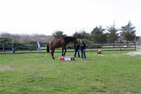 LR-WRF 0402026 Retreat-3387